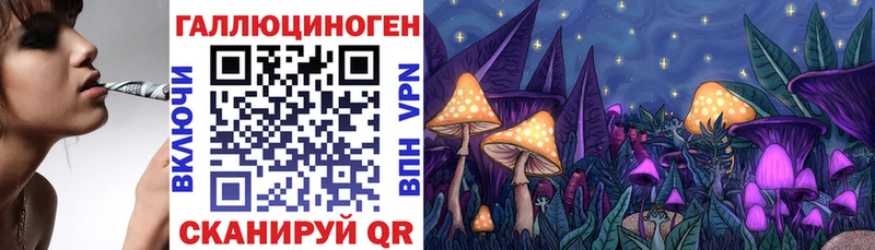 omg Новоульяновск Галлюциногенные грибы Cubensis